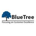 logo of Bluetree Consultanc Services Private Limited