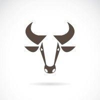 b. a. bull, inc.