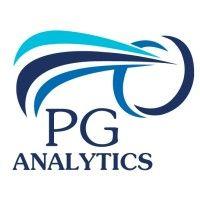 pg analytics logo image