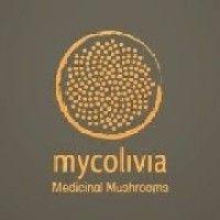 mycolivia medicinal mushrooms logo image