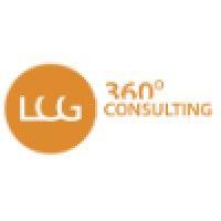 lcg 360°consulting