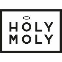 holy moly | b-corp™ logo image