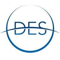 des services group uk logo image