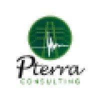 pterra consulting logo image