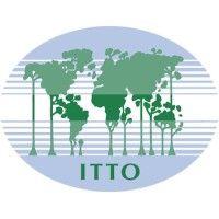 itto | international tropical timber organization