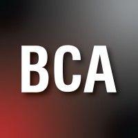 bca architects & engineers logo image