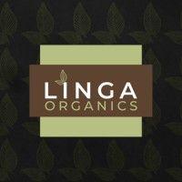 linga foods logo image