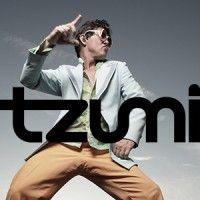 tzumi electronics logo image