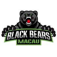 macau black bears basketball club logo image