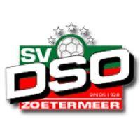 sv dso zoetermeer logo image