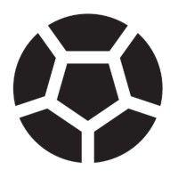 finance in sport logo image