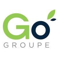 go groupe logo image