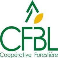 cfbl coopérative forestière logo image