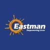 eastman auto & power limited logo image