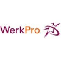 werkpro logo image