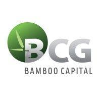 bamboo capital joint stock company (bcg) logo image