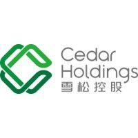 cedar holdings 雪松控股