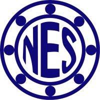 nes bearing co., inc dba napoleon engineering services logo image