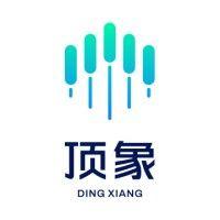 dingxiang logo image