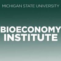 msu bioeconomy institute logo image