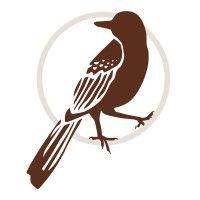 brown thrasher strategies logo image