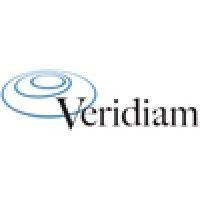 veridiam logo image