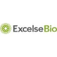 excelse bio logo image