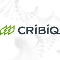 cribiq consortium de recherche et innovations en bioprocédés industriels au québec logo image