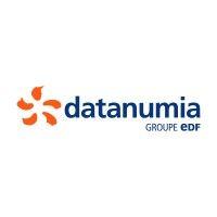 datanumia, edf group logo image