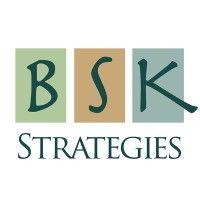 bsk strategies logo image