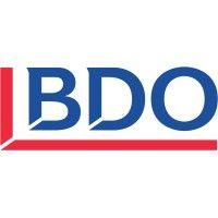 bdo auditas ir apskaita, uab (bdo lithuania)