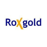 roxgold inc. logo image