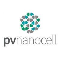 pv nano cell ltd. logo image