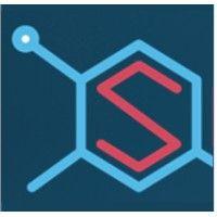 salt cybersecurity logo image