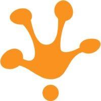 orange frog logo image