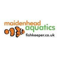 maidenhead aquatics logo image