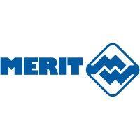 merit automotive electronics systems.