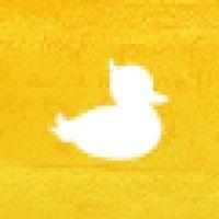 white ducky logo image