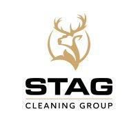 stag cleaning group logo image