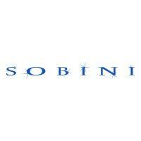 sobini films logo image