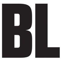 bl global logo image