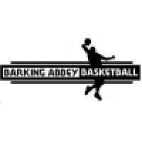 barking abbey basketball academy logo image