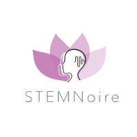 stemnoire logo image