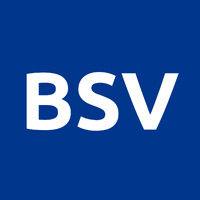 bsv association logo image