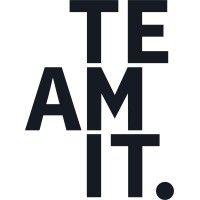 teamit logo image