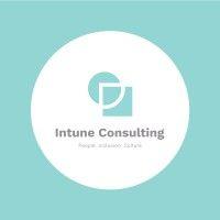 intune consulting ltd logo image