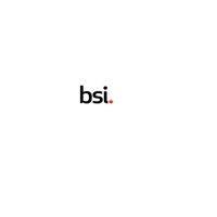 british standard institutions logo image