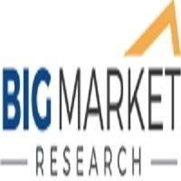 big market research logo image