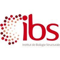 institut de biologie structurale (ibs) logo image