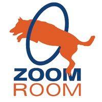 zoom room santa clarita logo image